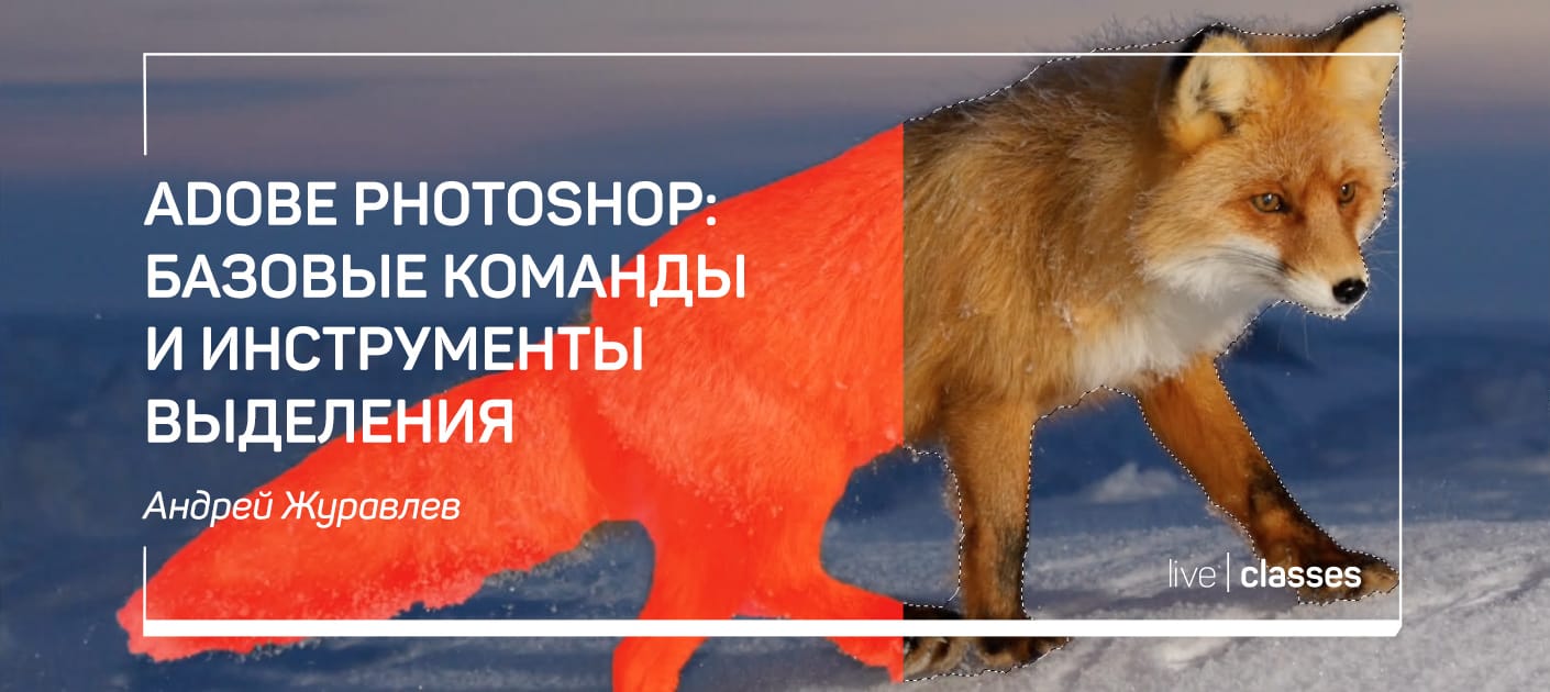 Adobe Photoshop: базовые команды и инструменты выделения