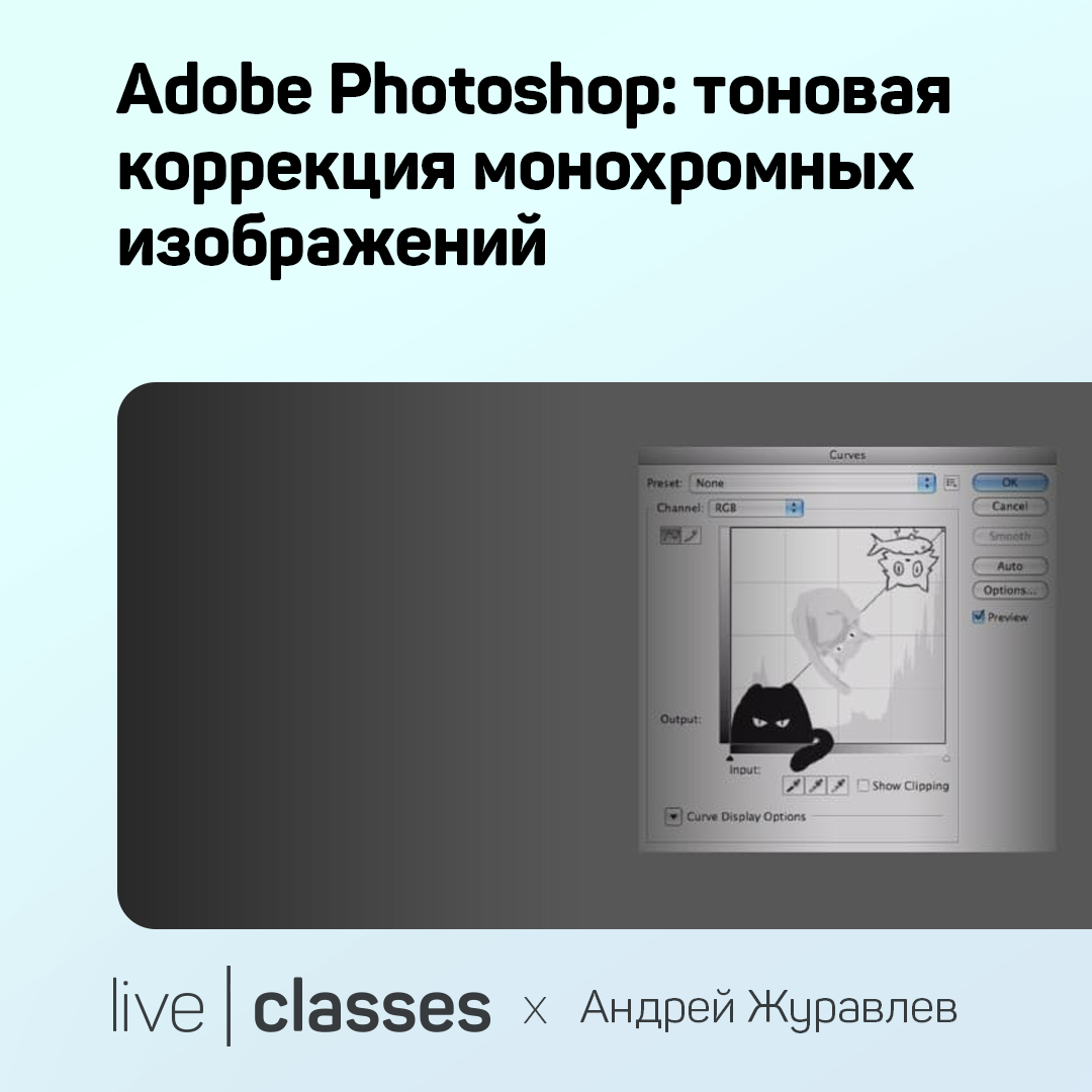 Adobe Photoshop: тоновая коррекция монохромных изображений