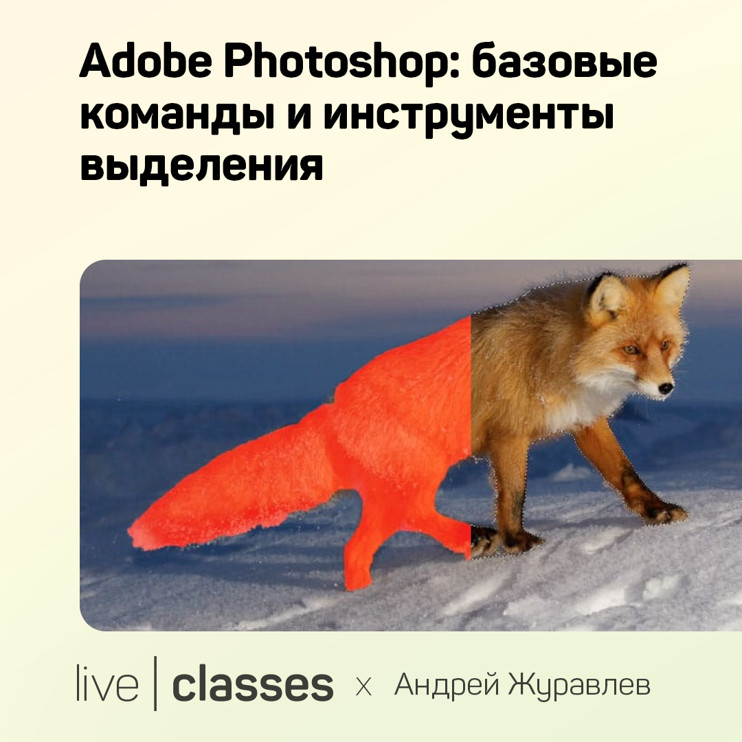 Adobe Photoshop: базовые команды и инструменты выделения